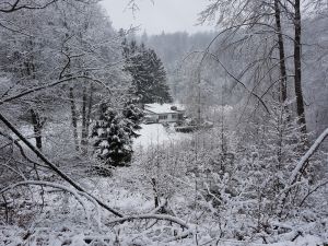 jede Jahreszeit hat ihre besonderen Reize - Bild 13: Vollausgestattetes Ferienhaus im Pfälzer Wald zur Alleinnutzung