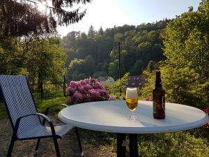 Hier können Sie die Abendsonne genießen - Bild 11: Vollausgestattetes Ferienhaus im Pfälzer Wald zur Alleinnutzung