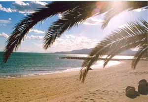 Bild 22: Schöner Urlaub auf Casa Fortuna, Mont-roig Bahia, Tarragona, Costa Dorada