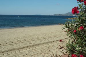 Bild 23: Schöner Urlaub auf Casa Fortuna, Mont-roig Bahia, Tarragona, Costa Dorada