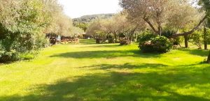 Bild 1: alleinstehendes Chalet DIREKT am Bolsenasee mit eingezäunten Garten