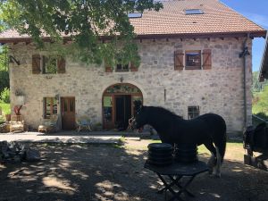 Manchmal lauft Sie frei rund, sie ist aber auch sehr freundlich. - Bild 13: Urlaub auf den Bauernhof in den Vogesen
