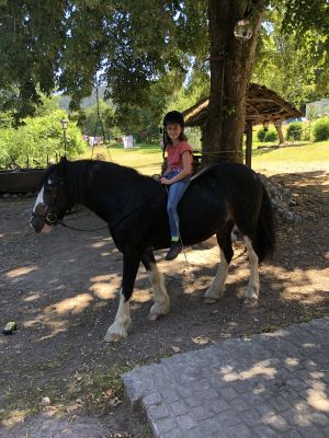 Kinder könnten gerne mithelfen die Molly und andere Tiere zu versorgen zusammen mit Silke und Kjeld. - Bild 3: Urlaub auf den Bauernhof in den Vogesen