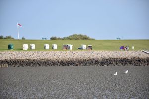 Blick bei Ebbe auf den Strand - nur wenige Minuten entfernt. - Bild 19: Schönes Ferienhaus m. großem, eingezäunten Garten Stinteck / Büsum Nordsee