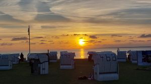 Bild 34: freistehendes Ferienhaus mit Hund bis 6 Pers. an der ostfriesischen Nordsee
