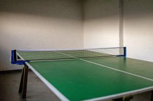 Bild 15: Ferienhaus Chalet im Harz