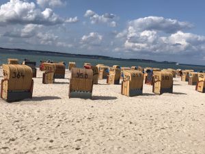 Bild 10: Ferienhaus Sonnenschein für 2-6 Personen, sehr gerne auch mit Hund