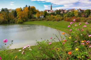 Bild 33: 4 Sterne Ferienwohnung Schwarzwaldparadies in sonniger Gartenlage.