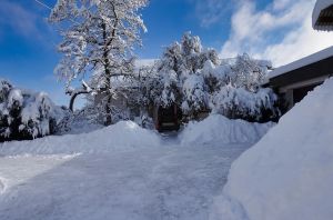 Bild 1: 4 Sterne Ferienwohnung Schwarzwaldparadies in sonniger Gartenlage.