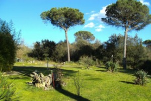Bild: Traumhafte Finca Can Paz