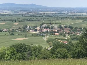 mit Blick auf die Vogesen. - Bild 24: Freistehendes Ferienhaus in paradiesischer Natur für Dich ganz allein.
