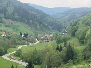 im Südschwarzwald. - Bild 22: Freistehendes Ferienhaus in paradiesischer Natur für Dich ganz allein.