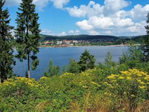 Titisee - Bild 6: Freistehendes Ferienhaus in paradiesischer Natur für Dich ganz allein.