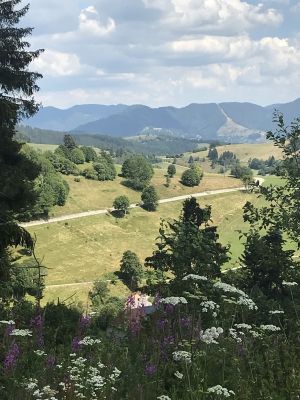 Schwarzwald - Bild 10: Freistehendes Ferienhaus in paradiesischer Natur für Dich ganz allein.