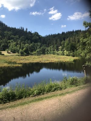 und Badesee Nonnenmattweiher. - Bild 8: Freistehendes Ferienhaus in paradiesischer Natur für Dich ganz allein.