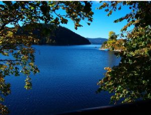 ideal zum Baden mit Hund. - Bild 12: Freistehendes Ferienhaus in paradiesischer Natur für Dich ganz allein.