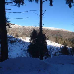 im Südschwarzwald - Bild 30: Freistehendes Ferienhaus in paradiesischer Natur für Dich ganz allein.