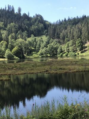 Bild 21: Große Ferienwohnung mit 3 Schlafzimmern und Sonnenterrasse