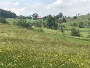 Bild 26: Große Ferienwohnung mit 3 Schlafzimmern und Sonnenterrasse