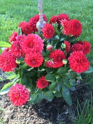 Bild 18: Große Ferienwohnung mit 3 Schlafzimmern und Sonnenterrasse