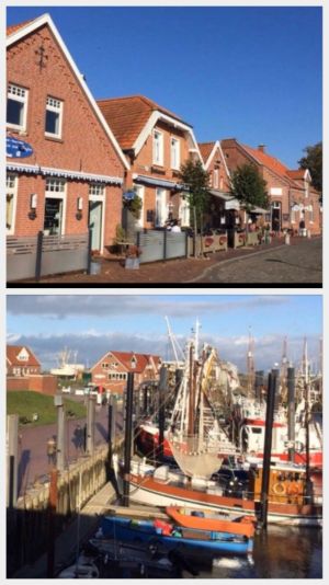 Bild 10: Ferienhaus Schaumann in Ostfriesland