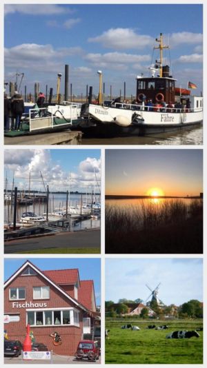 Bild 12: Ferienhaus Schaumann in Ostfriesland