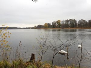 Bild 29: Ferienhaus in Alleinlage auf 1,7ha Wald-Grundstück, komplett eingezäunt