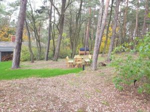 1.7 ha Wald-Grundstück komplett umzäunt - Bild 15: Ferienhaus in Alleinlage auf 1,7ha Wald-Grundstück, komplett eingezäunt