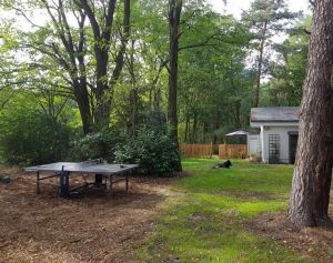 Bild 14: Ferienhaus in Alleinlage auf 1,7ha Wald-Grundstück, komplett eingezäunt