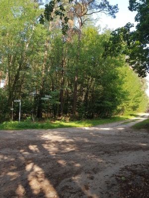 Bild 26: Ferienhaus in Alleinlage auf 1,7ha Wald-Grundstück, komplett eingezäunt