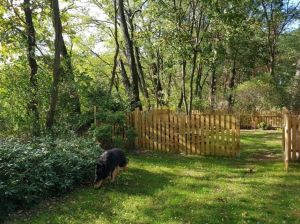 Bild 34: Ferienhaus in Alleinlage auf 1,7ha Wald-Grundstück, komplett eingezäunt