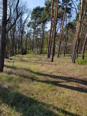 Bild 16: Ferienhaus in Alleinlage auf 1,7ha Wald-Grundstück, komplett eingezäunt