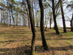 Bild 17: Ferienhaus in Alleinlage auf 1,7ha Wald-Grundstück, komplett eingezäunt