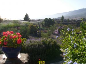Bild 11: Casa Frederico - altkanarisches Bauernhaus-zur Zeit nicht buchbar