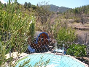 Bild 16: Casa Frederico - altkanarisches Bauernhaus-zur Zeit nicht buchbar