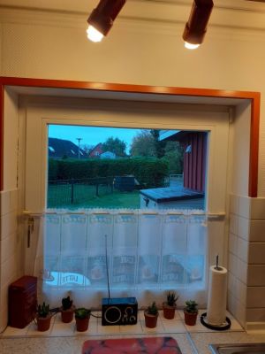 Blick in den Garten Dreh/Kippfenster - Bild 2: Ferienwohnung Hinz in Lütjenbrode