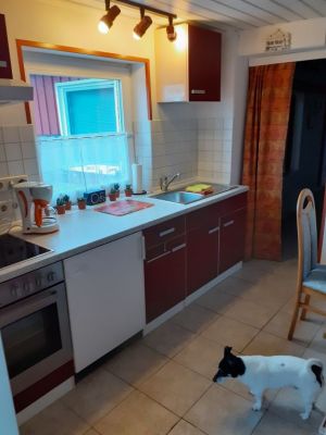 mit Ceranfeld/Backofen,Kühlschrank mit Eisfach,Spüle und Blick in den Garten - Bild 3: Ferienwohnung Hinz in Lütjenbrode