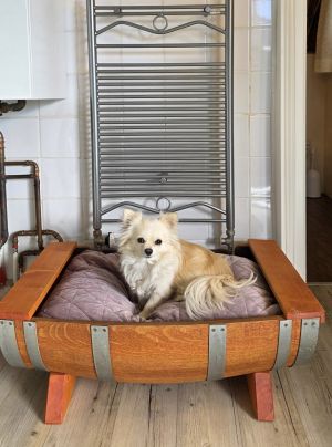 Bild 1: Fischerkate am Strand von St. Peter-Ording