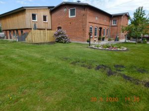 Bild 4: Biene´s - Ferienparadies Ostsee-Ferienwohnung für Jung und Alt