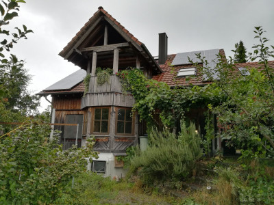 Bild: Ferienwohnung am Vogelsang auf der Halbinsel Höri, Weiler am Bodensee