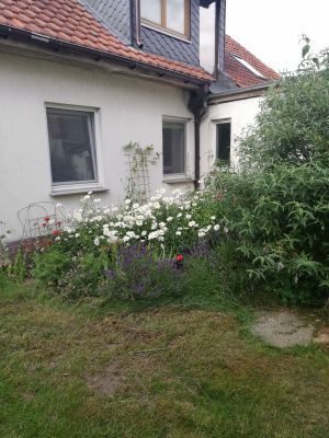 Bild 2: Ferienwohnung in Mecklenburg, Mitten in einem Dorf, auch mit Hunde(n)