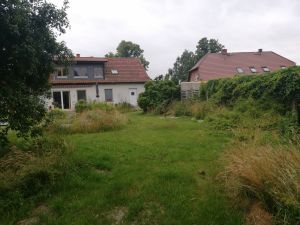 Bild 25: Ferienwohnung in Mecklenburg, Mitten in einem Dorf, auch mit Hunde(n)