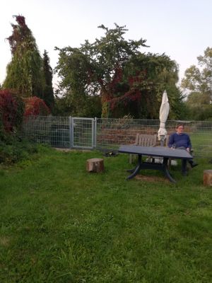 Bild 20: Ferienwohnung in Mecklenburg, Mitten in einem Dorf, auch mit Hunde(n)