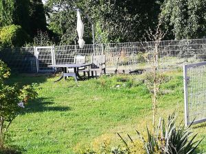 Bild 21: Ferienwohnung in Mecklenburg, Mitten in einem Dorf, auch mit Hunde(n)