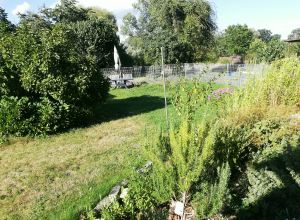 Bild 24: Ferienwohnung in Mecklenburg, Mitten in einem Dorf, auch mit Hunde(n)