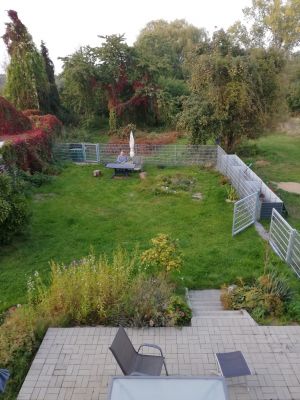 Bild 22: Ferienwohnung in Mecklenburg, Mitten in einem Dorf, auch mit Hunde(n)