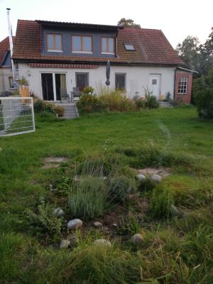 Bild 23: Ferienwohnung in Mecklenburg, Mitten in einem Dorf, auch mit Hunde(n)