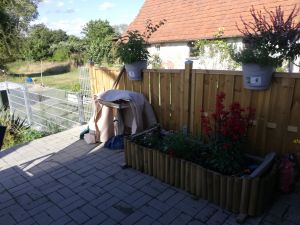 Bild 19: Ferienwohnung in Mecklenburg, Mitten in einem Dorf, auch mit Hunde(n)