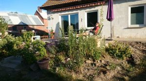 Bild 1: Ferienwohnung in Mecklenburg, Mitten in einem Dorf, auch mit Hunde(n)