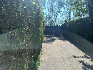 Bild 4: Das besondere Ferienhaus mit Sauna und Massage auf der Insel Usedom